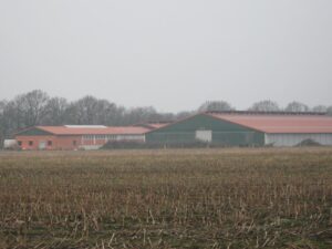 Landwirtschaftliche-Gebaeude-Boxenlaufstall-Landkreis-Cuxhaven-Stade-Bremervoerde-D-Tiedemann-GmbH